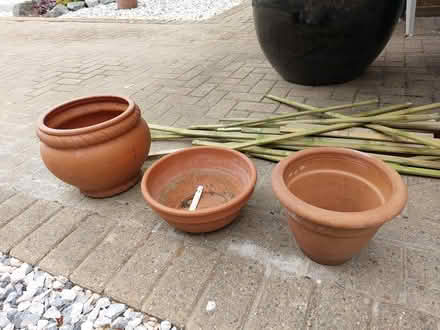 Photo of free Terracotta Pots (Welwyn AL6) #1