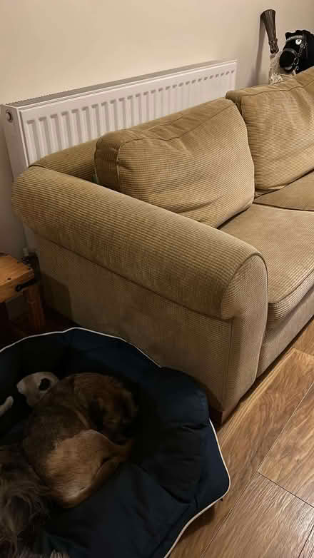 Photo of free Sofa (Sothall S20) #3