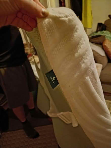 Photo of free Memory foam mattress topper (Worthing BN11) #3
