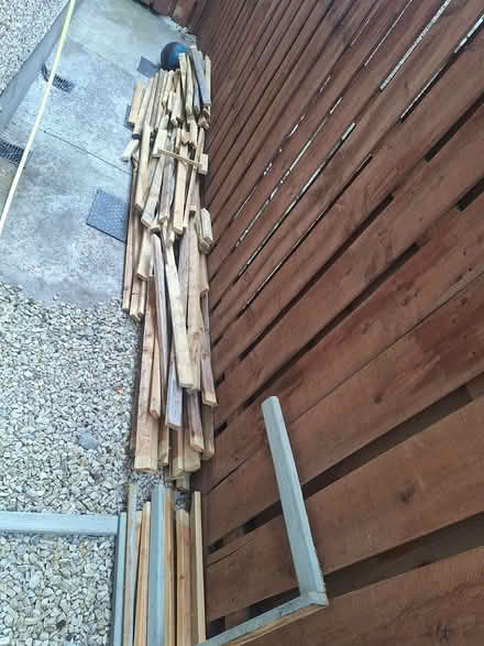 Photo of free Wood (Dublin 15) #1