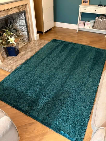 Photo of free Large rug (Spondon DE21) #2
