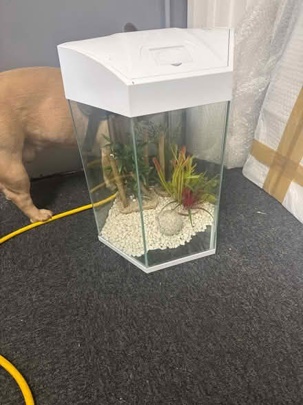 Photo of free Fish tank (Gorton M188af) #1