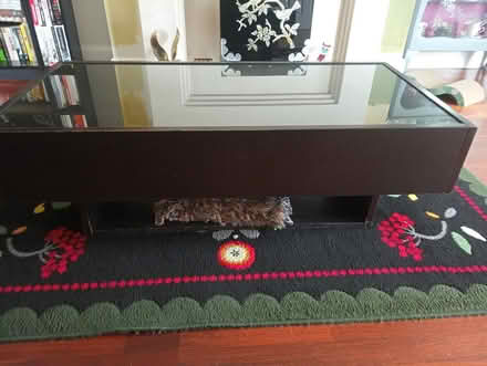 Photo of free Coffee table (Blessington Road side of Naas) #1