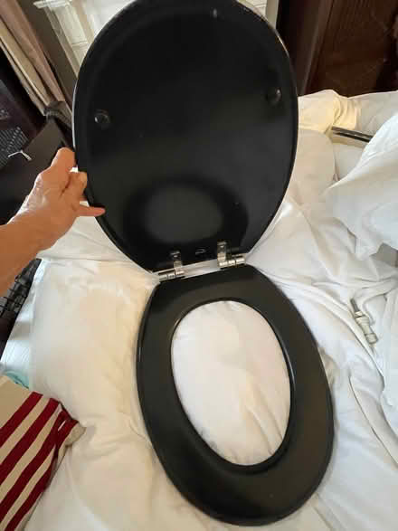 Photo of free Black bemis toilet seat (Wheatley OX33) #3