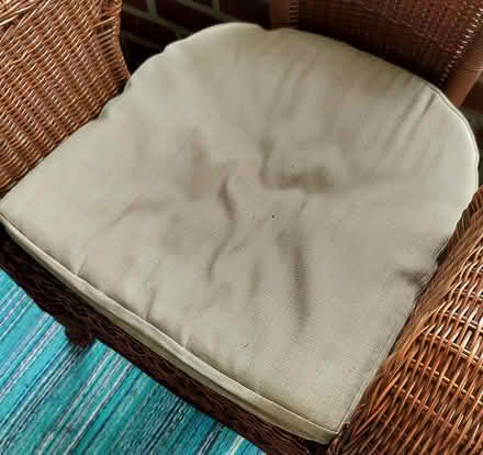 Photo of free Patio cushions (Highland Park) #2