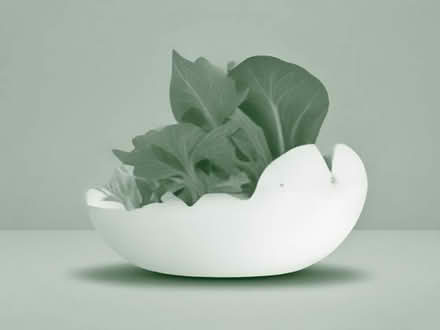 Photo of Salad and fresh bread (Dunston S41) #1