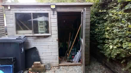 Photo of free Garden Shed (Sidmouth) #1