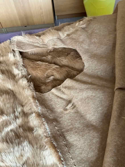 Photo of free Golden Brown Fake Fur fabric (small piece used) (The Plantation GL5) #2