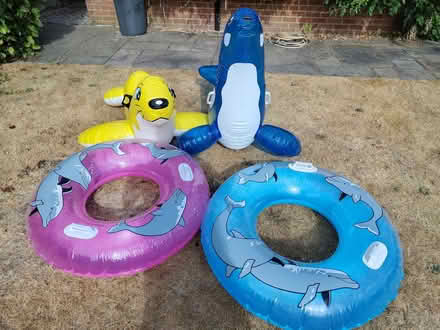 Photo of free Kids inflatable water toys (Ringwood BH24) #2