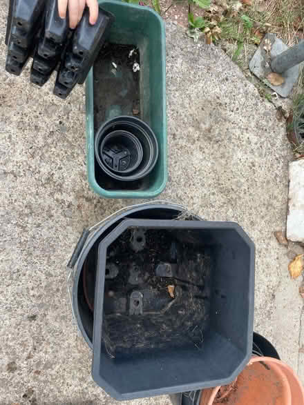 Photo of free Various plant pots (S7 Carter knowle) #3