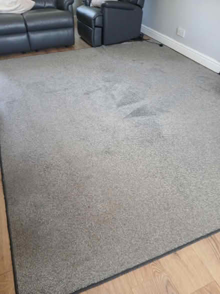 Photo of free Grey rug (Little common bexhill) #1