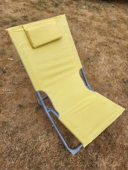 Photo of free Garden chair/lounger (Springfield CM1) #1