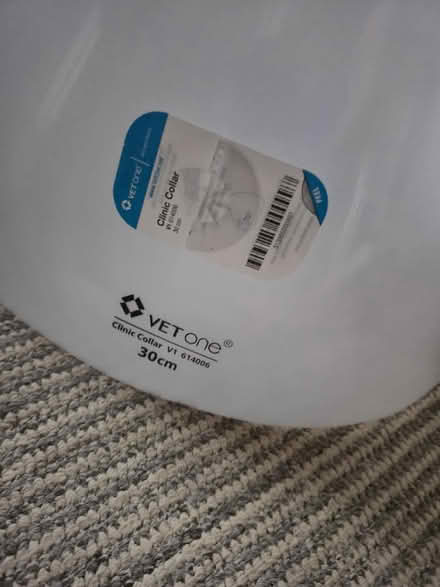 Photo of free Cone of Shame (Ilkeston DE7) #2