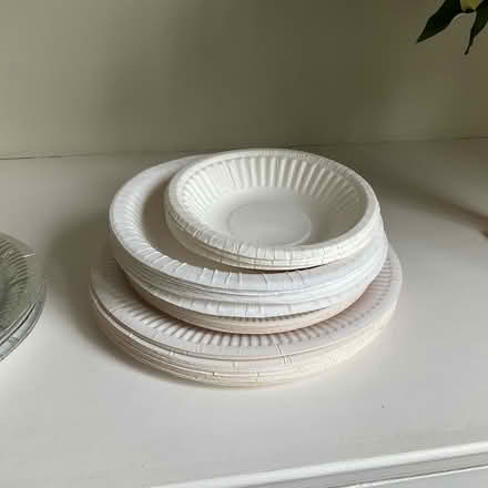 Photo of free Paper plates, cups, plastic cutlery (Kingston upon Thames, Norbiton) #4