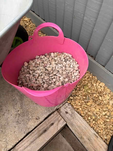 Photo of free Italian Rose Gravel (Finchampstead RG40) #2