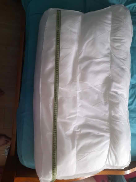 Photo of free Two sofa cushions (Montpelier Road area BN1) #4