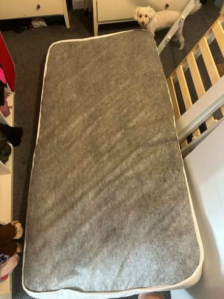 Photo of free Single bed and mattress (Salisbury SP2) #2