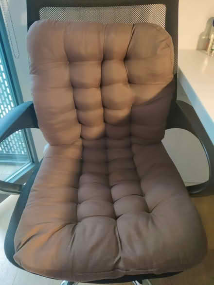 Photo of free Mesh Office/Desk Chair + Cushion (White City W12) #4