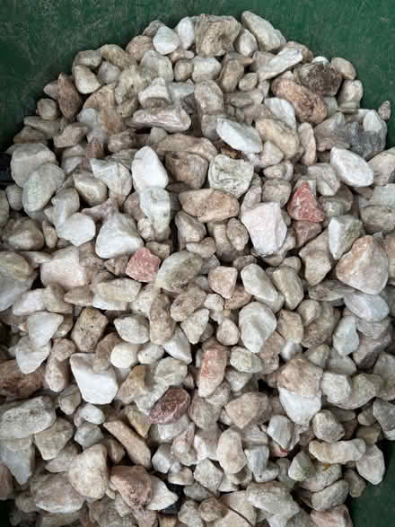 Photo of free Italian Rose Gravel (Finchampstead RG40) #3