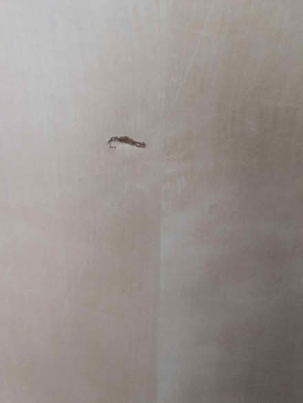 Photo of free Ikea Vika Amon Desk Table Top Only (Clapton E5) #2