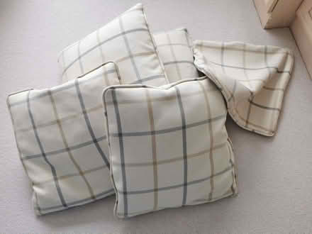 Photo of free 4 cushions (Brandwood End B14) #1