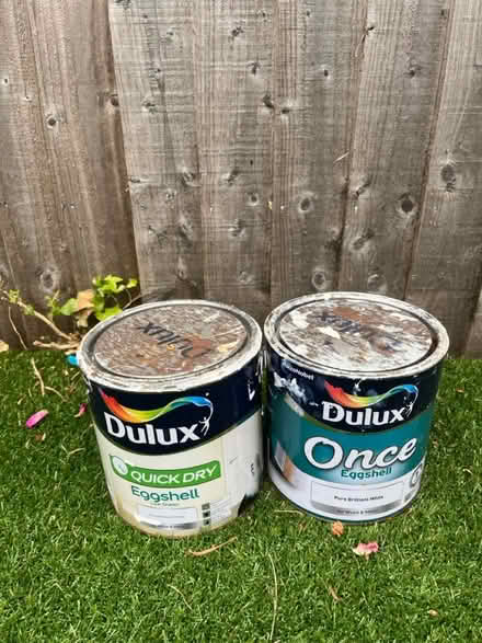 Photo of free Brilliant white eggshell paint (Hemel Town HP1) #1