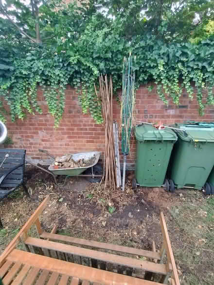 Photo of free plant support canes (Gorse Hill M32) #2