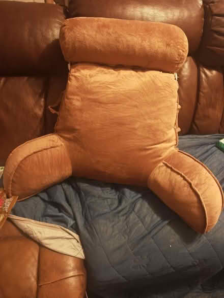 Photo of free Brown cuddle cushion (Bawdsey IP12) #1