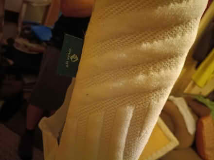 Photo of free Memory foam mattress topper (Worthing BN11) #2
