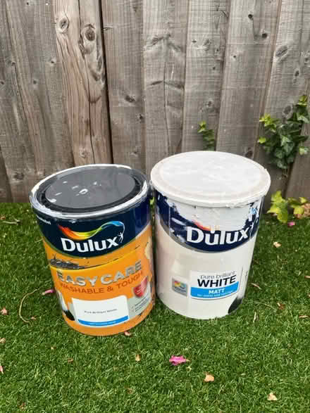 Photo of free Matt brilliant white paint (Hemel Town HP1) #1