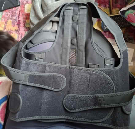 Photo of free Back support brace, Old Woking (Woking, GU22) #1