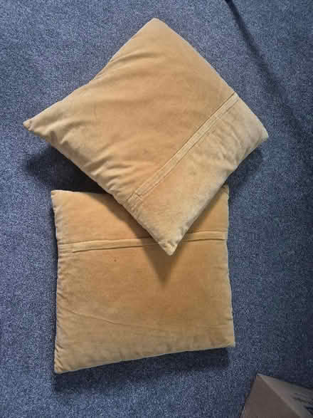 Photo of free Yellow cushions (Minster Lovell OX29) #2