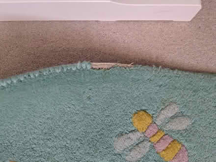 Photo of free Children rug (New Malden near train station) #2