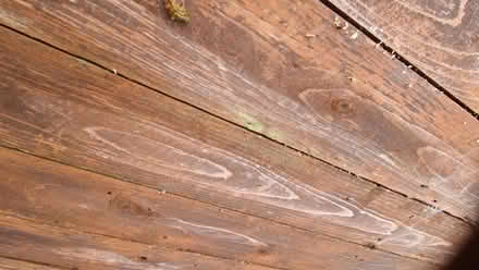 Photo of free Sturdy Gate or Base (Bridge of Allan FK9) #2