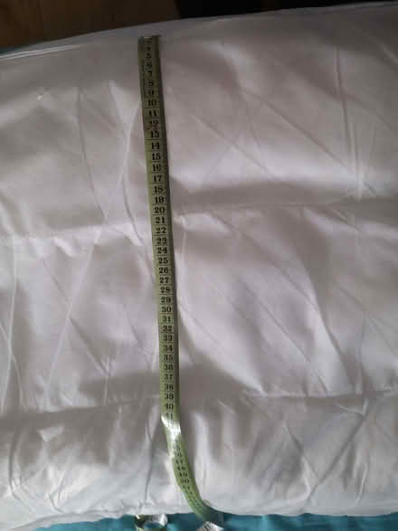 Photo of free Two sofa cushions (Montpelier Road area BN1) #3