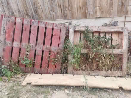 Photo of free 3 pallettes (Kingscourt, Stroud GL5) #2