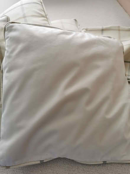 Photo of free 4 cushions (Brandwood End B14) #2