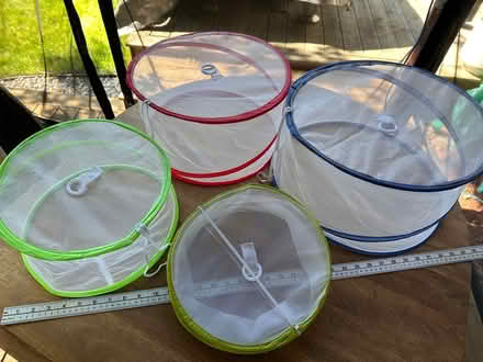 Photo of free Collapsible food covers (Beaverbrook) #1