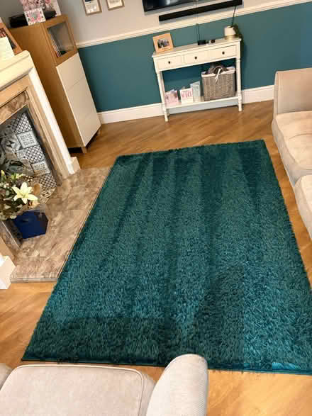 Photo of free Large rug (Spondon DE21) #1