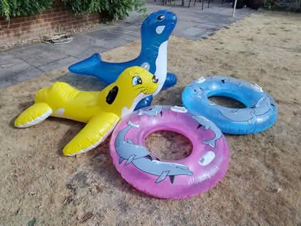 Photo of free Kids inflatable water toys (Ringwood BH24) #3