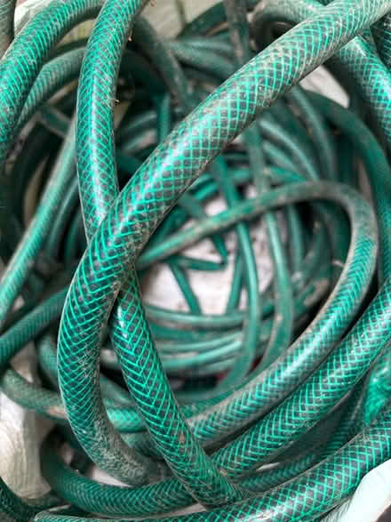 Photo of free Hose (edgbaston B16) #1