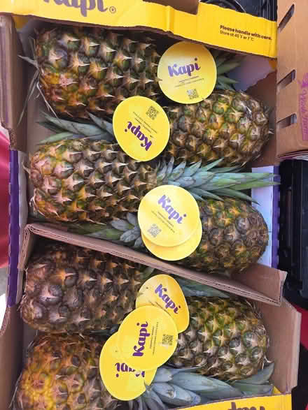 Photo of free Pineapples and parsley (Deerfield beach) #1