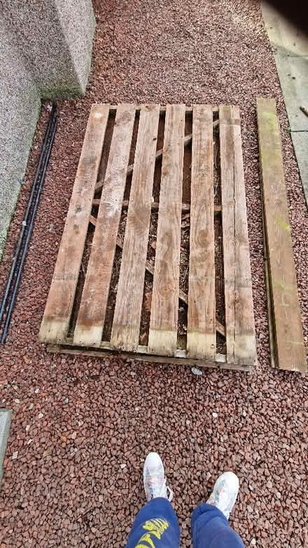 Photo of free Sturdy Gate or Base (Bridge of Allan FK9) #4