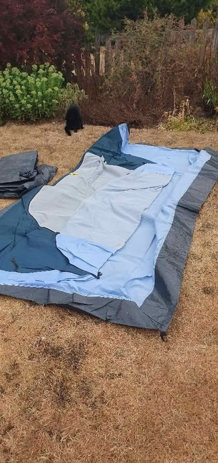 Photo of free Tent 6 berth Wynnster Cormorant (Jersey Farm AL4) #3