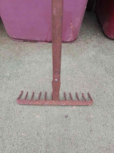 Photo of free Old Rake (Killamarsh S21) #1