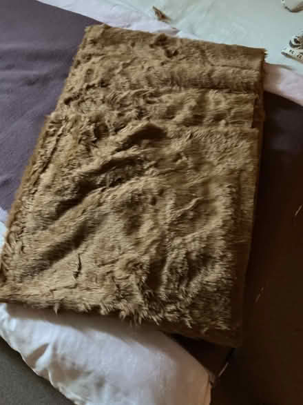 Photo of free Golden Brown Fake Fur fabric (small piece used) (The Plantation GL5) #1