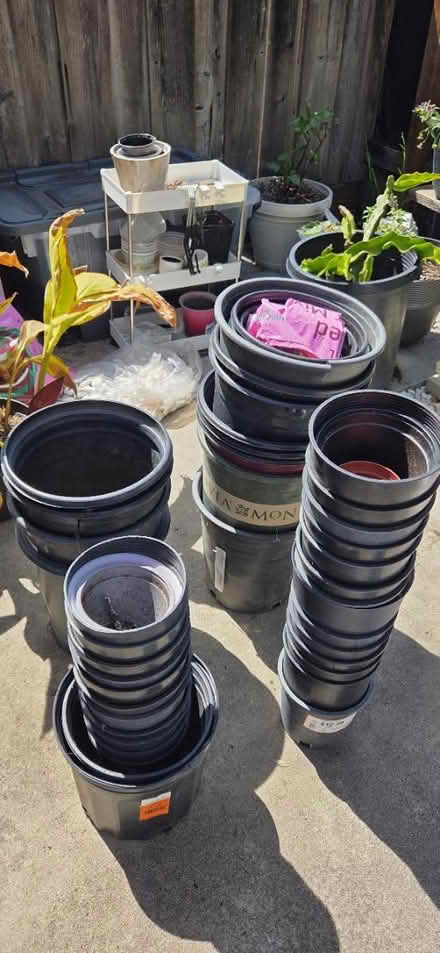 Photo of free Assorted plant pots (Hayward , Cherryland by Target) #1