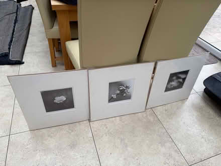 Photo of free Set of three ikea flower prints (Papplewick CP NG15) #1