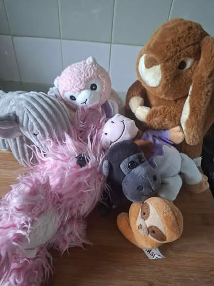 Photo of free Soft toys 1 (Southwark SE1) #2