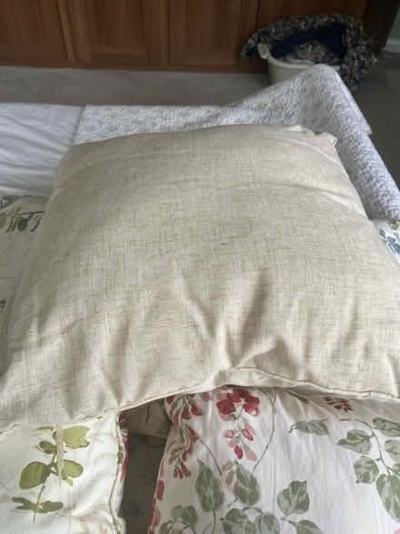 Photo of free Various cushions (Loose, Maidstone ME15) #3
